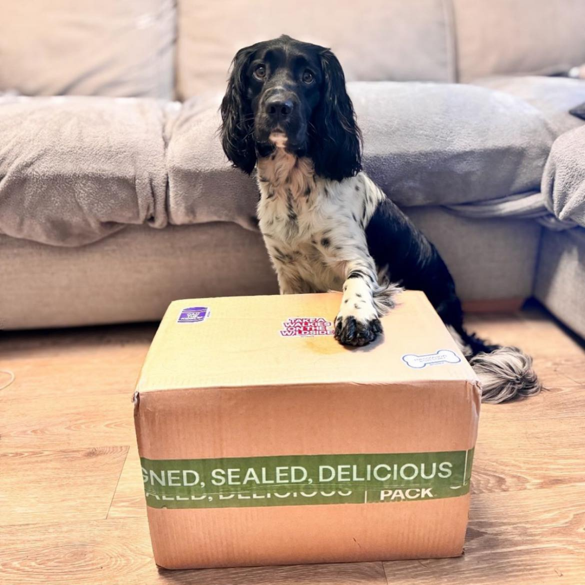 WiLD PACK Raw Dog Food Trial Box (6kg Sampler of 5 Recipes)