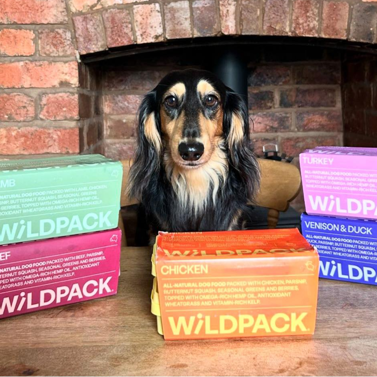 WiLD PACK Raw Dog Food Trial Box (6kg Sampler of 5 Recipes)