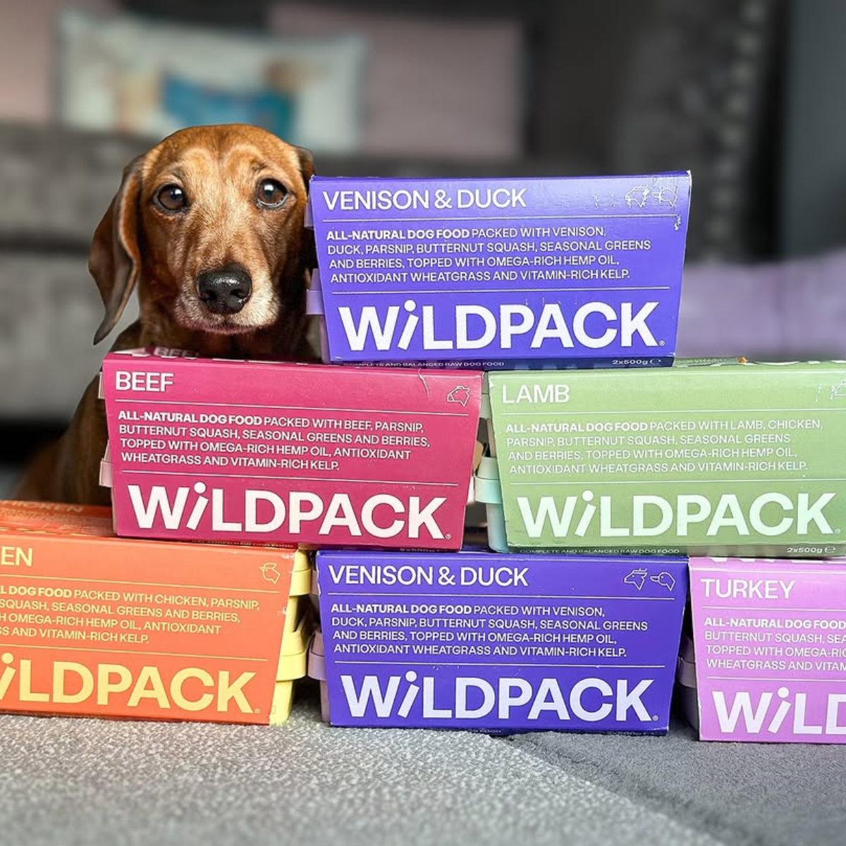 WiLD PACK Raw Dog Food Trial Box (6kg Sampler of 5 Recipes)