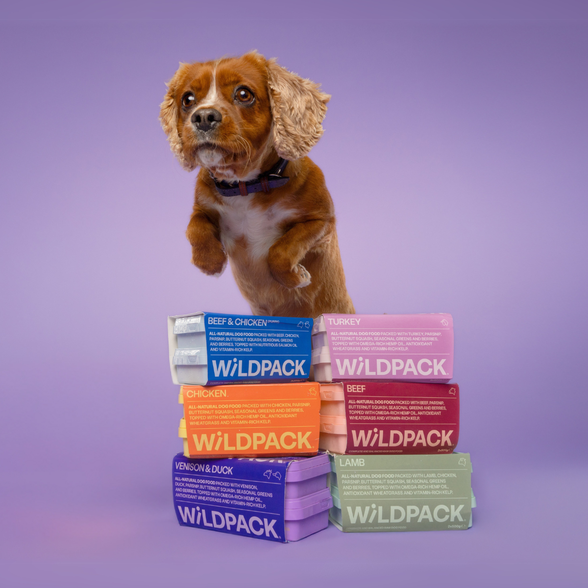 WiLD PACK Raw Dog Food Trial Box (6kg Sampler of 5 Recipes)