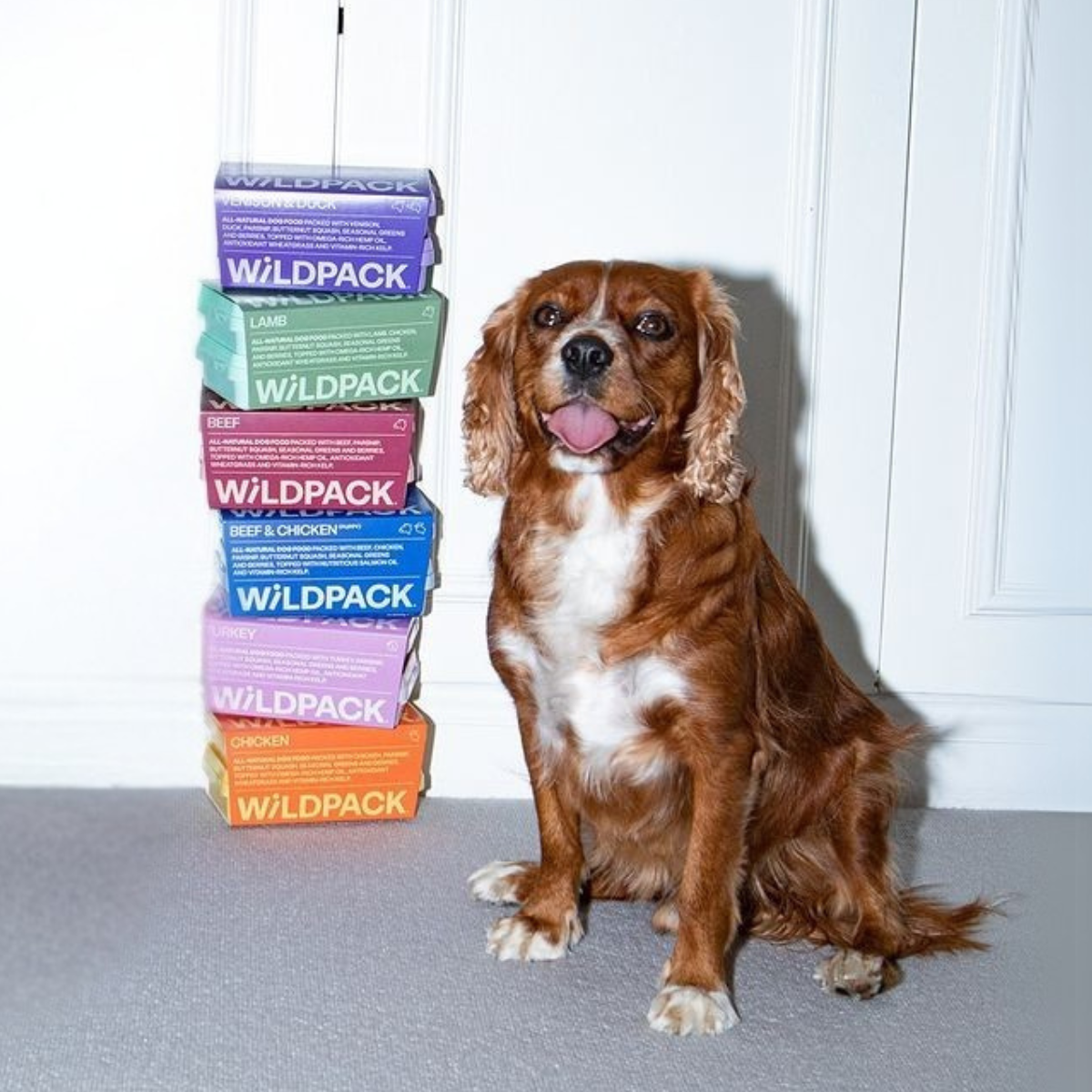 WiLD PACK Raw Dog Food Trial Box (6kg Sampler of 5 Recipes)