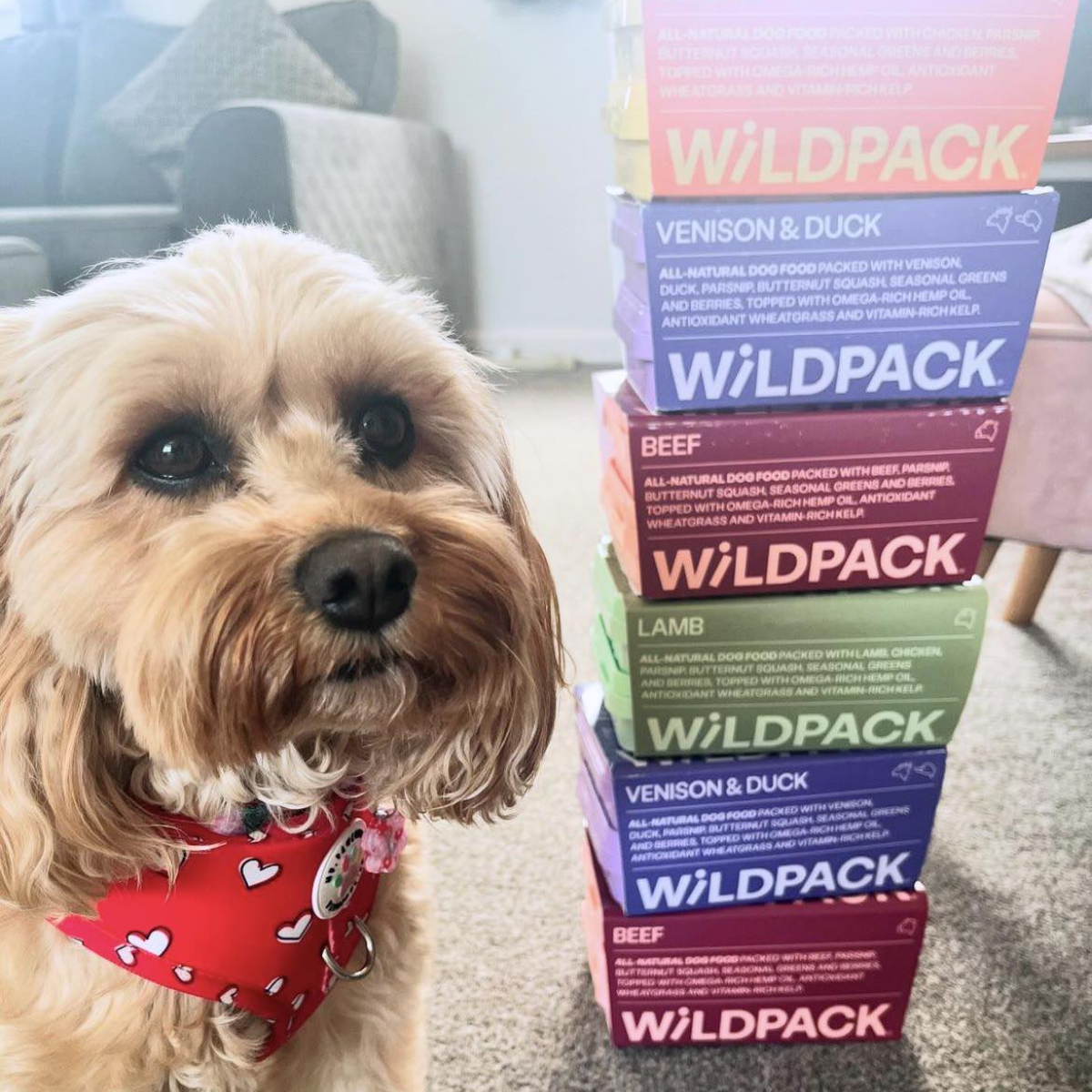 WiLD PACK Raw Dog Food Trial Box (6kg Sampler of 5 Recipes)