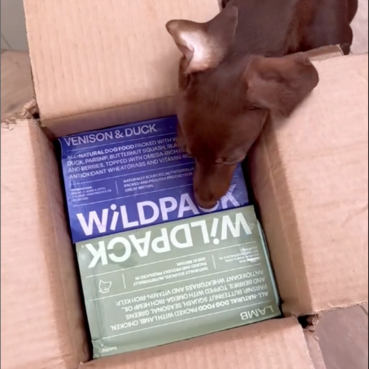 WiLD PACK Raw Dog Food Trial Box (6kg Sampler of 5 Recipes)